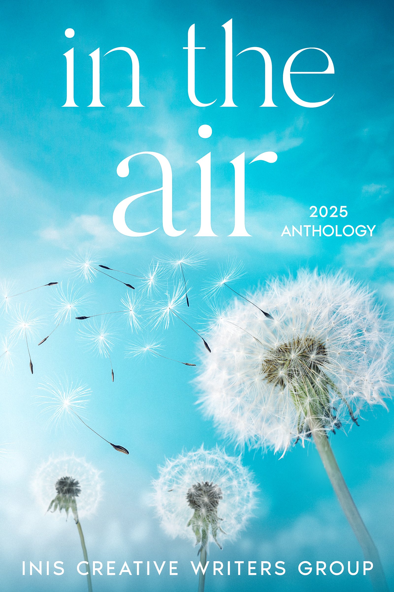 In the Air cover
